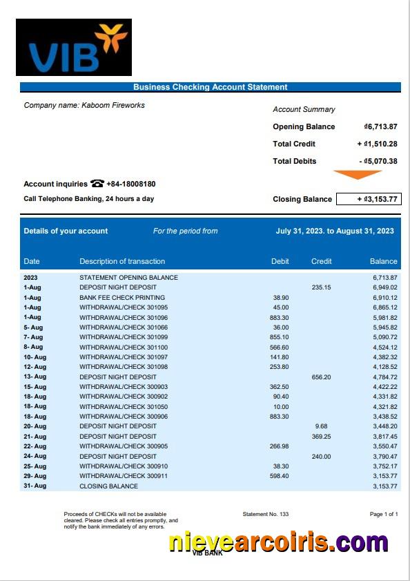 VIB Bank business checking account statement